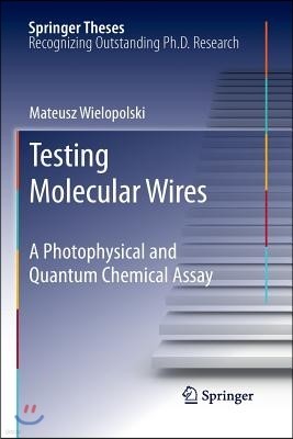 Testing Molecular Wires: A Photophysical and Quantum Chemical Assay