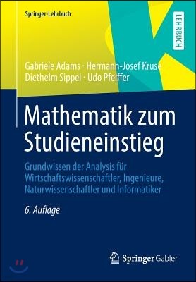 Mathematik Zum Studieneinstieg: Grundwissen Der Analysis Fur Wirtschaftswissenschaftler, Ingenieure, Naturwissenschaftler Und Informatiker