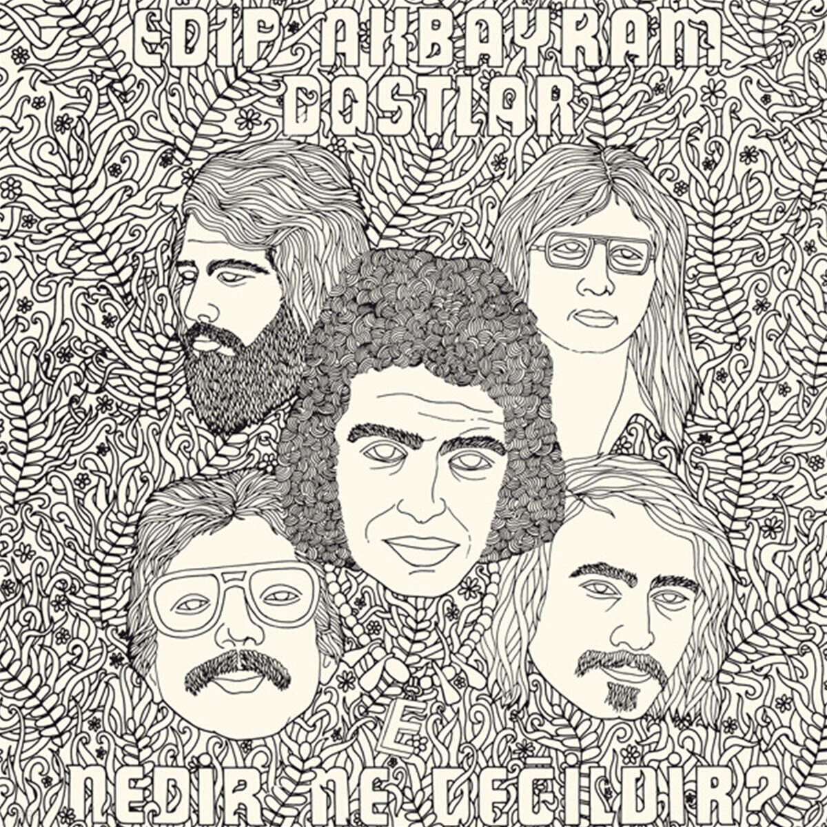 Edip Akbayram & Dostlar (에디프 아크바이람 & 도스틸라) - Nedir Ne Degildir? [LP]