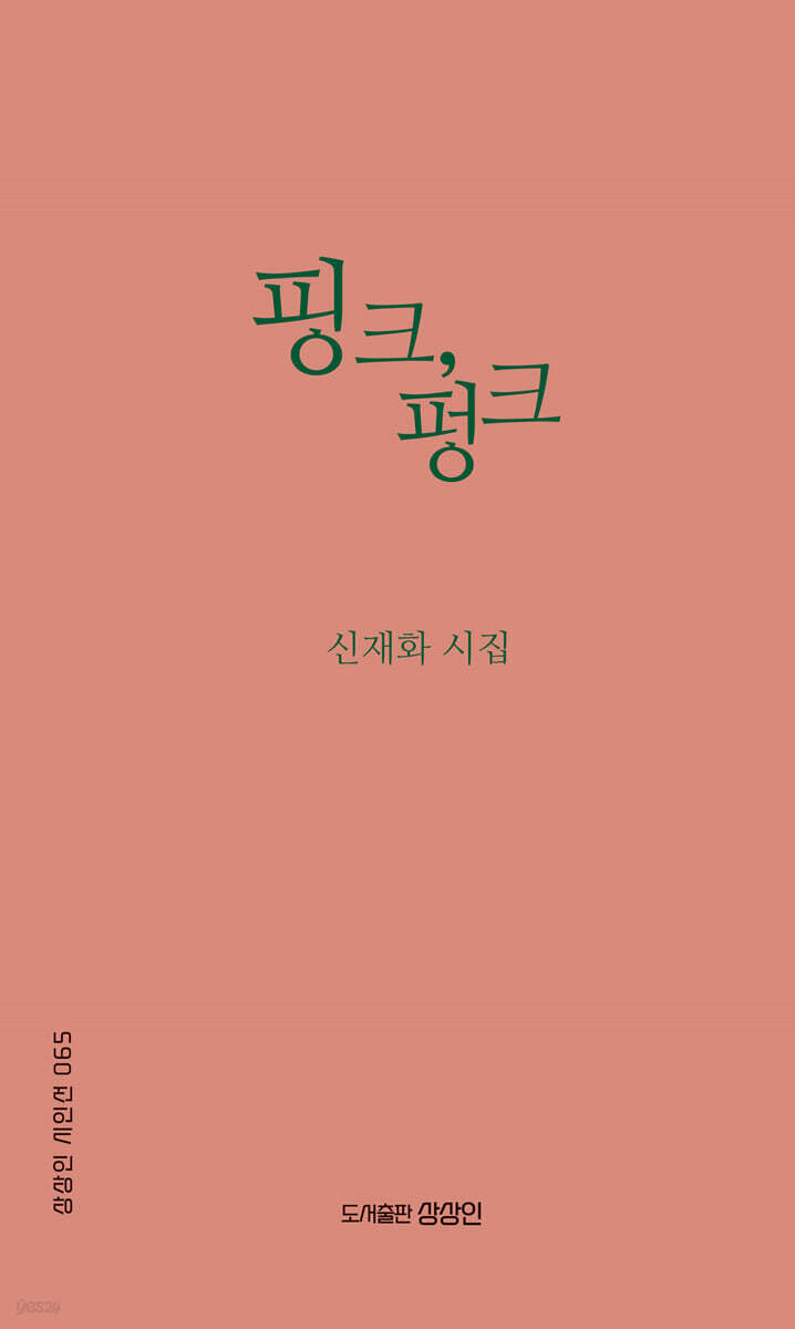 핑크, 펑크