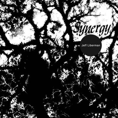 Jeff Liberman — Synergy 앨범 커버