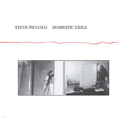 Steve Piccolo — Domestic Exile 앨범 커버