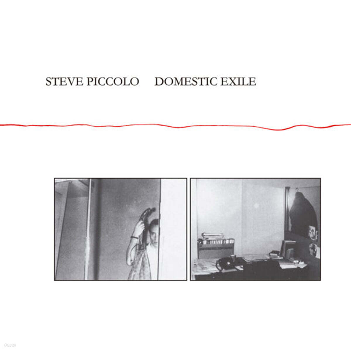 Steve Piccolo (스티브 피콜로) - Domestic Exile [LP]