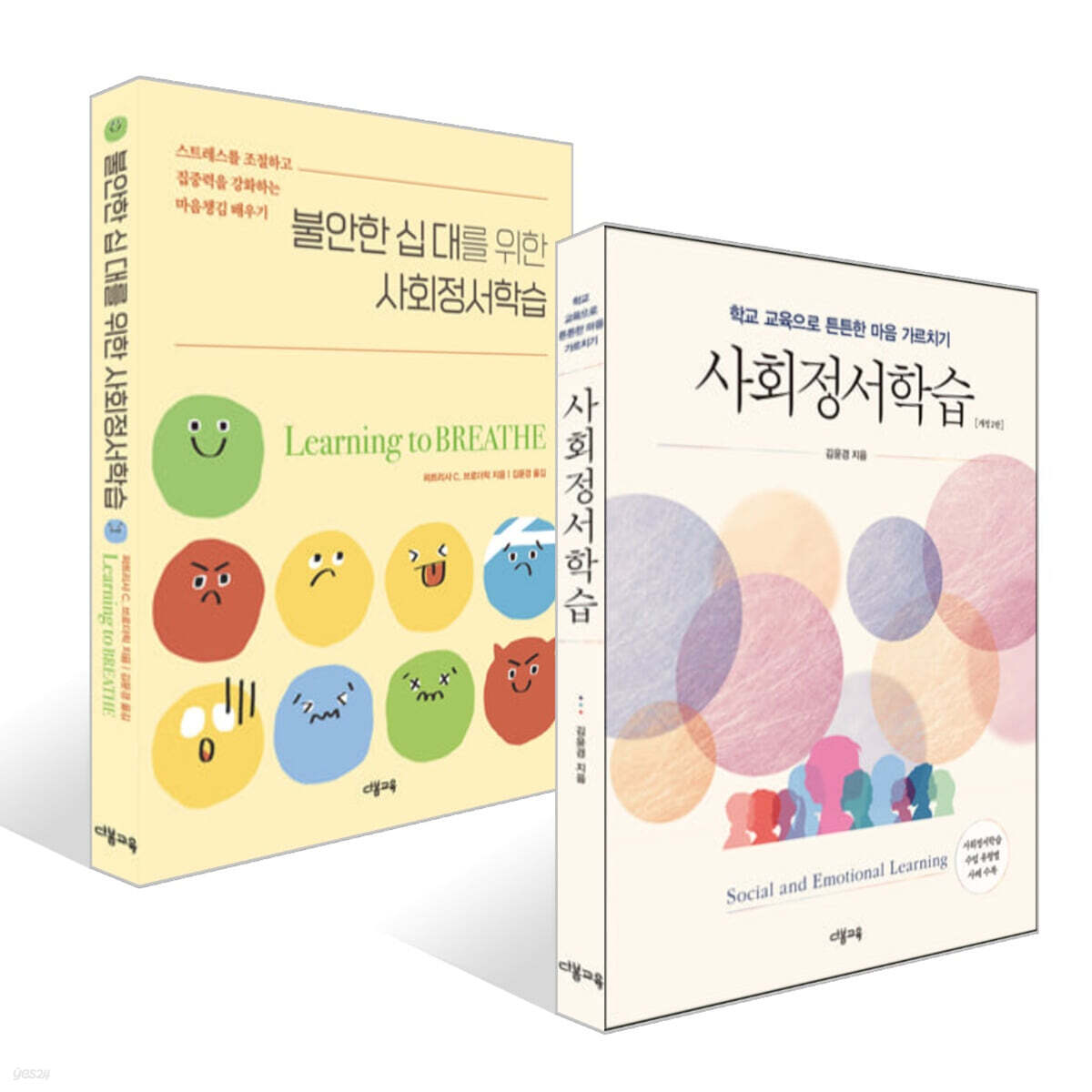 사회정서학습 + 불안한 십 대를 위한 사회정서학습 세트