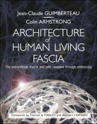 The Architecture of Human Living Fascia