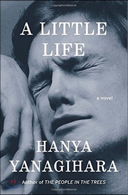 A Little Life