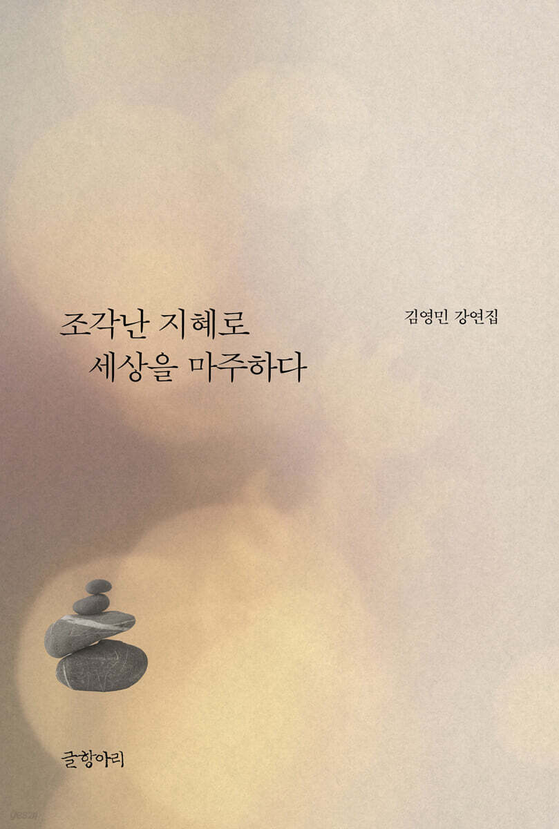 조각난 지혜로 세상을 마주하다 (큰글자도서)