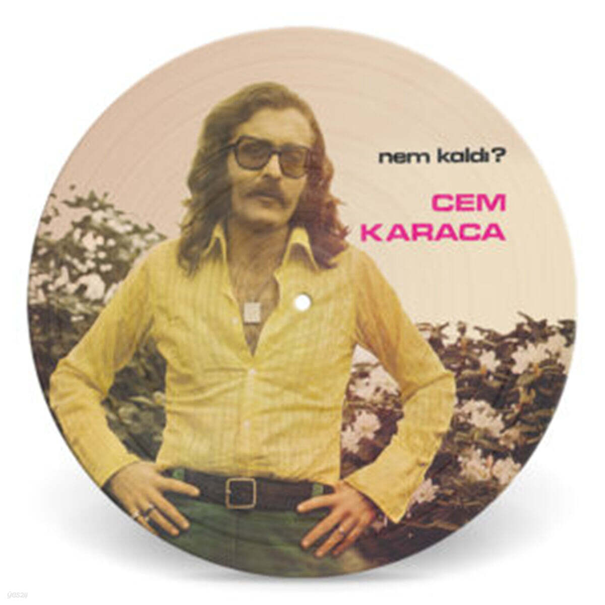 Cem Karaca (젬 카라카) - Nem Kaldi? [픽쳐디스크 LP]
