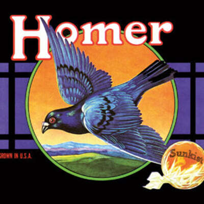 Homer — Homer 앨범 커버