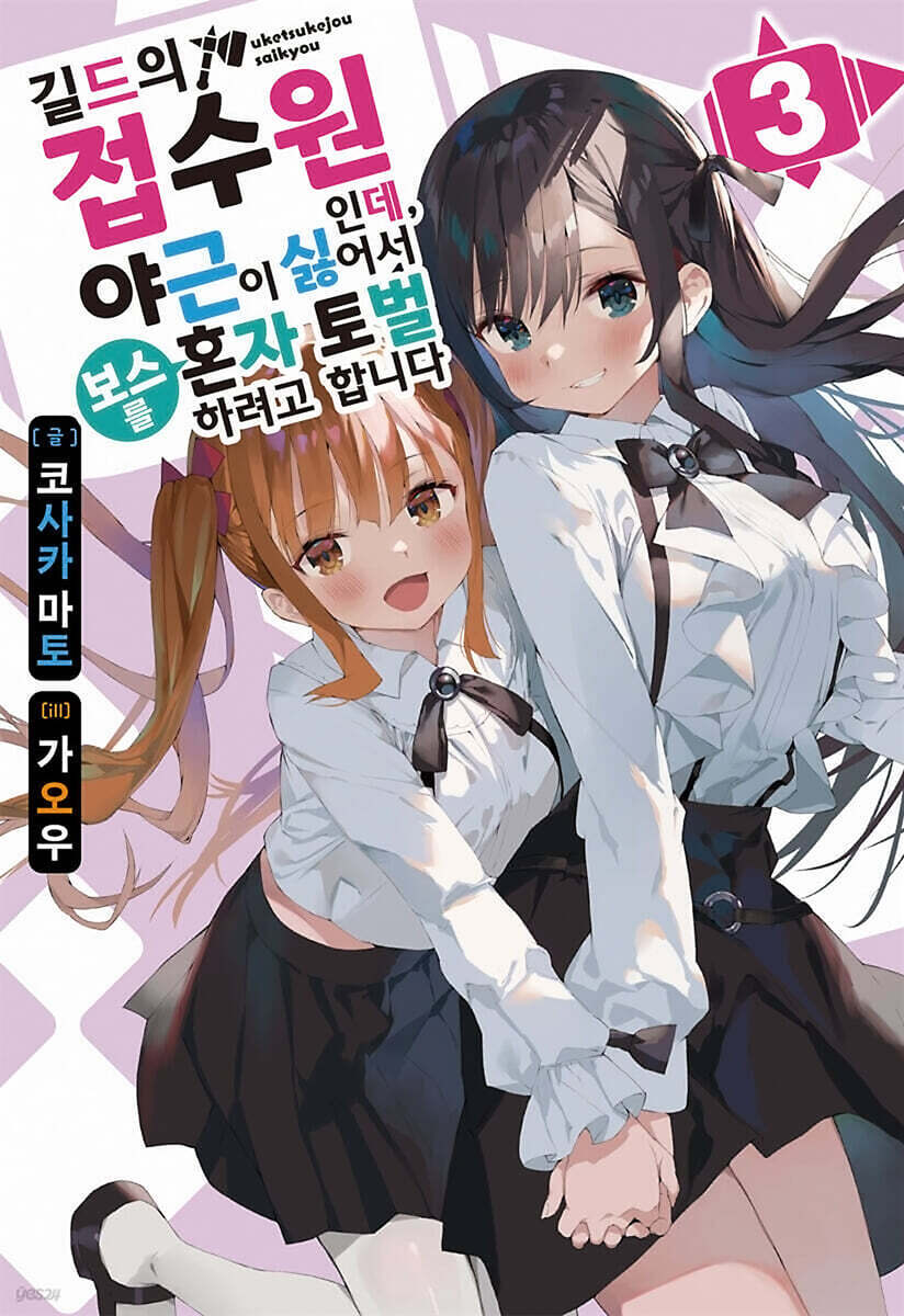 길드의 접수원인데, 야근이 싫어서 보스를 혼자 토벌하려고 합니다 3