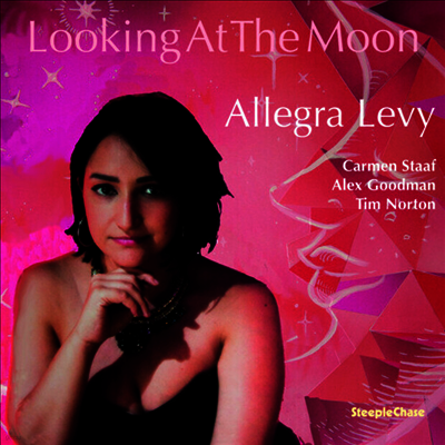 Allegra Levy — Looking At The Moon 앨범 커버