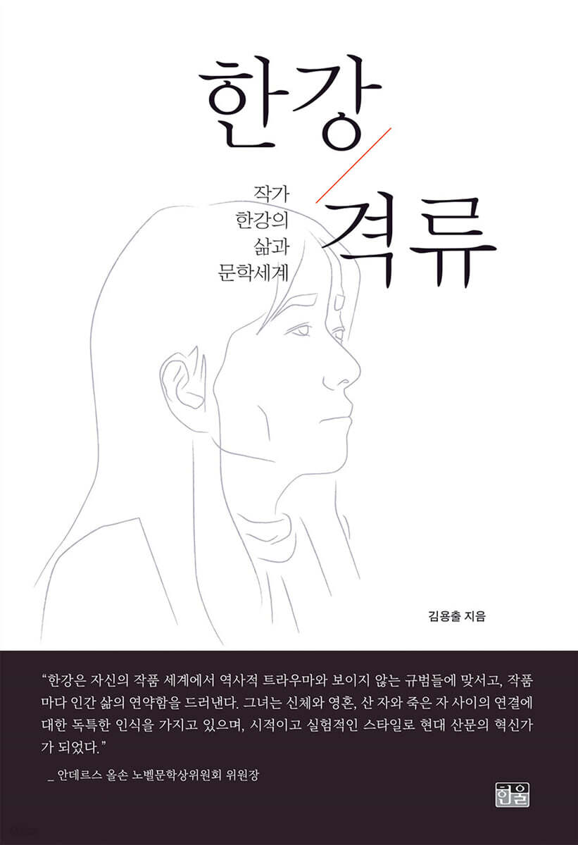 한강 격류 (양장)