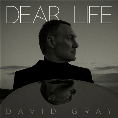 David Gray — Dear Life 앨범 커버