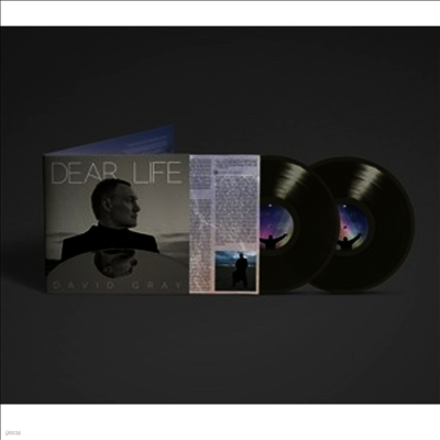 David Gray — Dear Life 앨범 커버