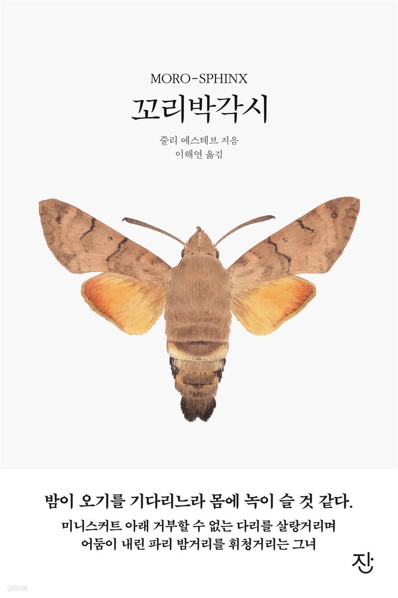 [대여] 꼬리박각시