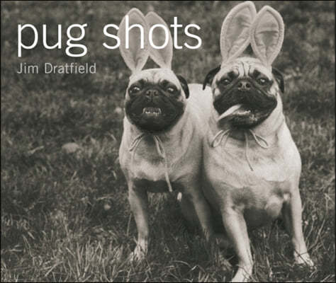 Pug Shots