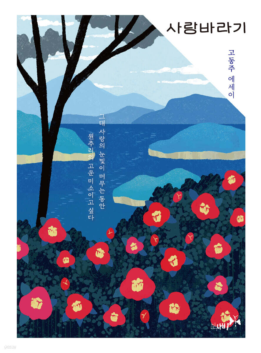 사랑바라기