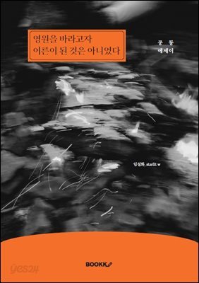 영원을 바라고자 어른이 된 것은 아니었다