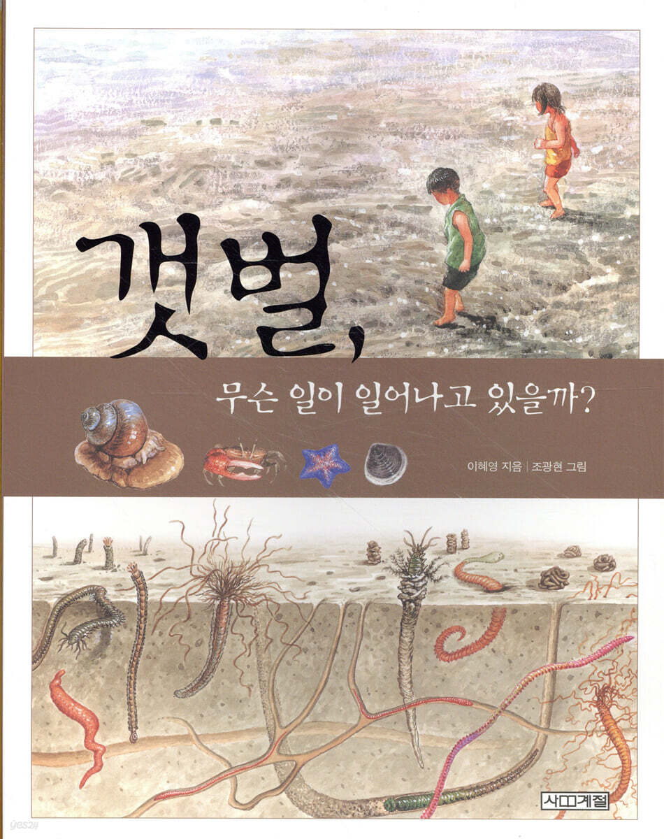 갯벌, 무슨 일이 일어나고 있을까?