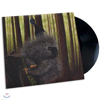 Madlib — Medicine Show Vol. 11: Low Budget High Fi Music 앨범 커버