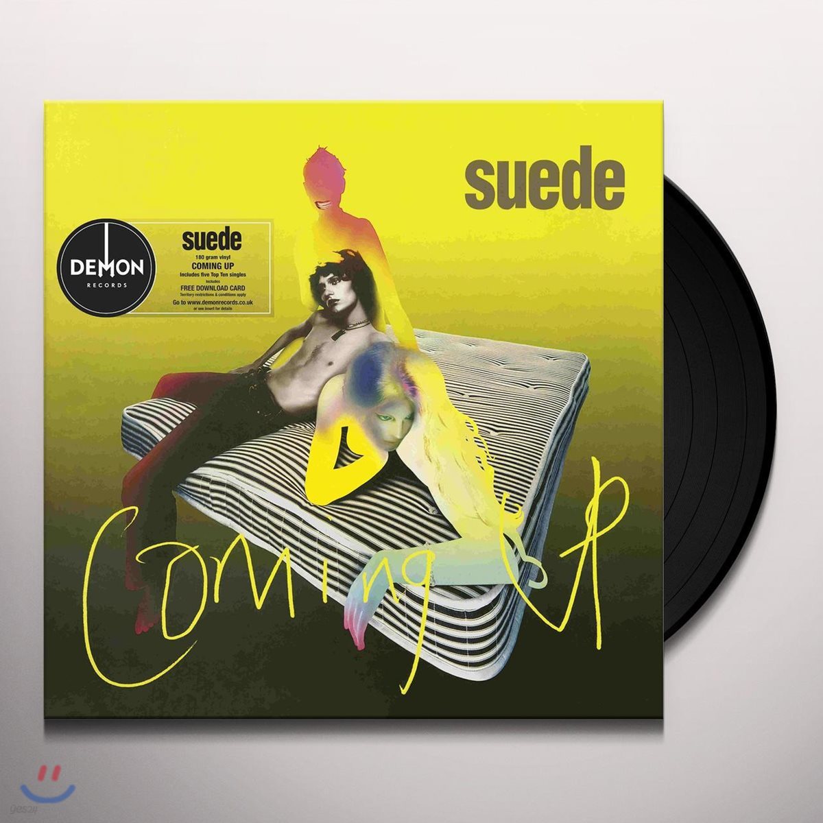 Suede (스웨이드) - 3집 Coming Up [LP]