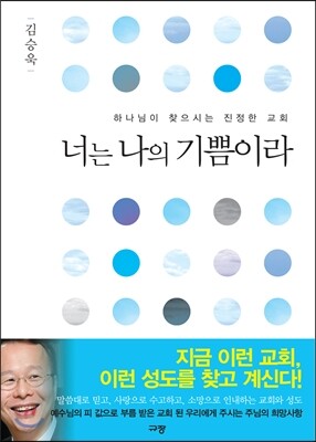 규장(규장문화사)  너는 나의 기쁨이라 하나님이 찾으시는 진정한 교회