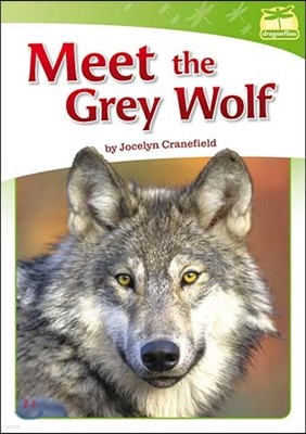 Lm Dragonflies:Meet The Gray Wolf 