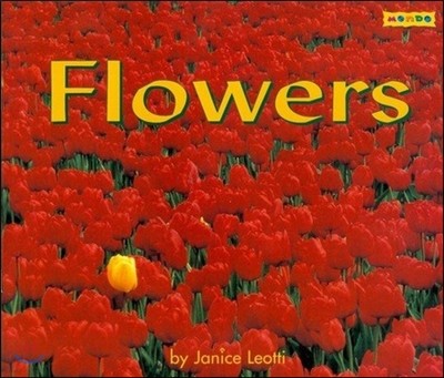 Mondo Flowers (Nf)