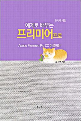 예제로 배우는 프리미어프로(EPUB버전)