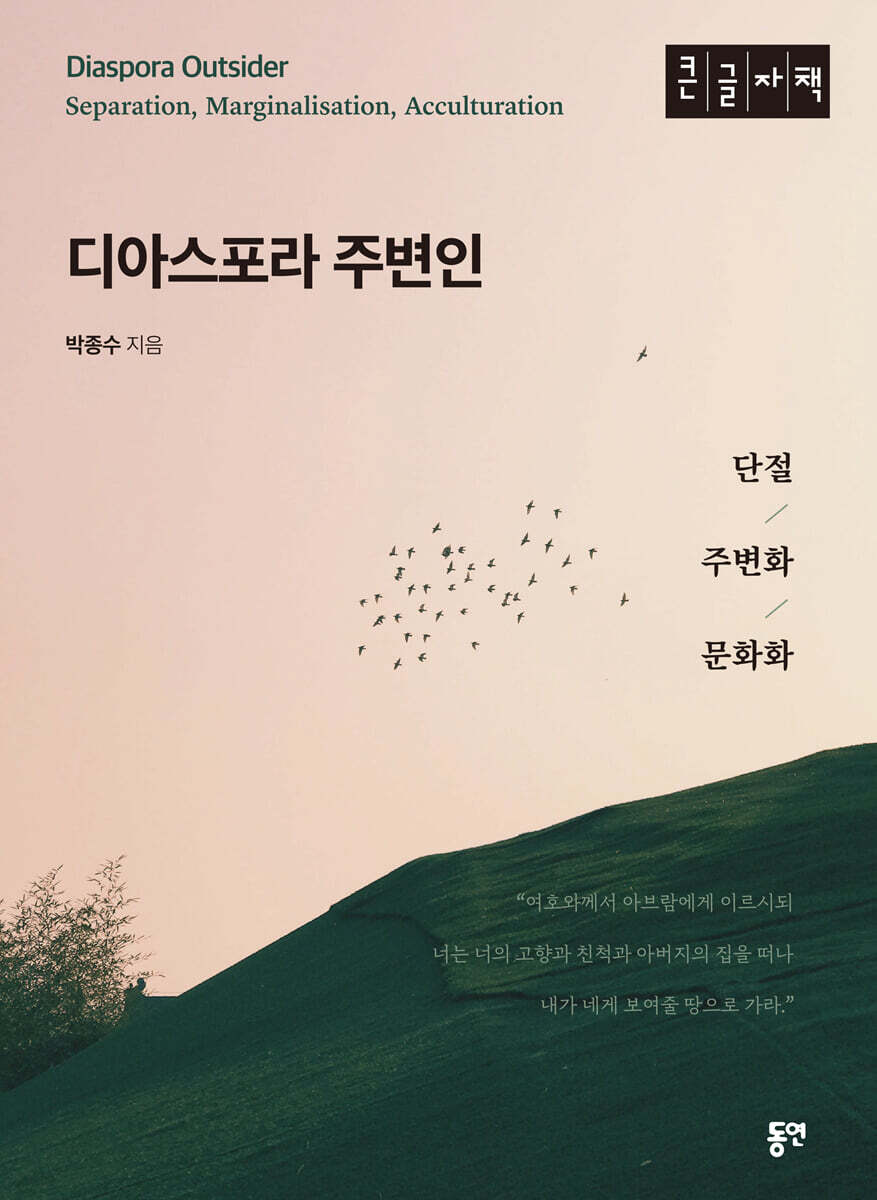 디아스포라 주변인 (큰글자도서)
