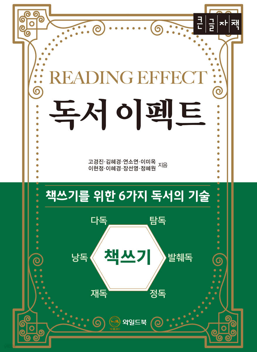 독서 이펙트 (큰글자책)