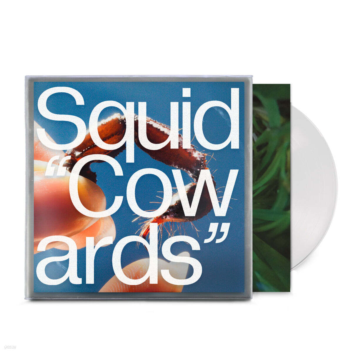 Squid (스퀴드) - Cowards [클리어 컬러 LP]