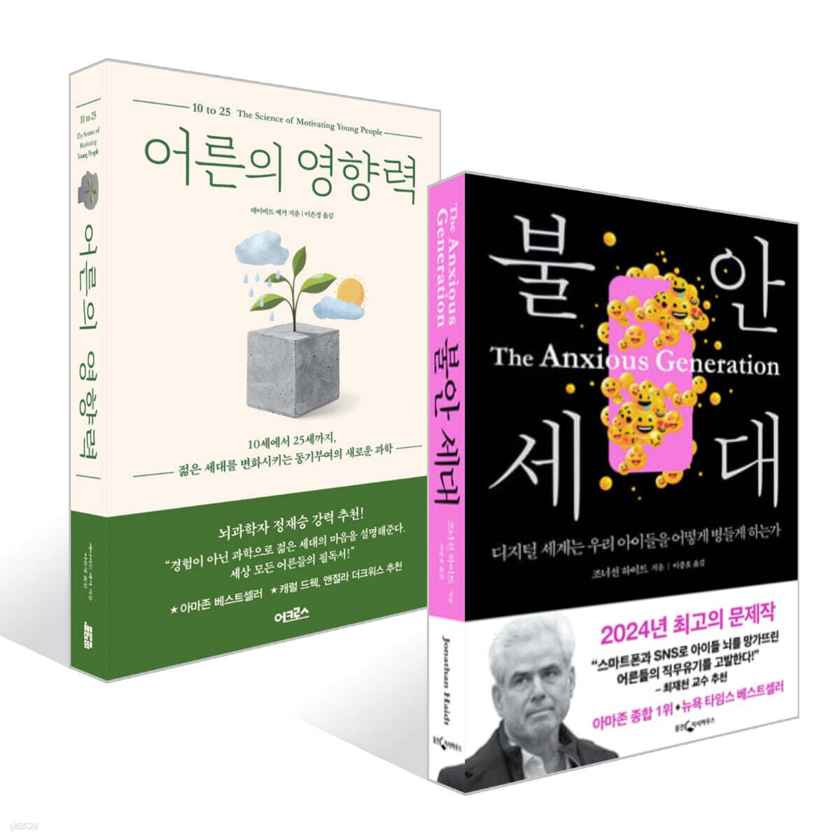 불안 세대 + 어른의 영향력 세트