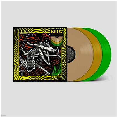 King Gizzard & the Lizard Wizard — Acoustic Gizzard - Live In Detroit 2024 앨범 커버
