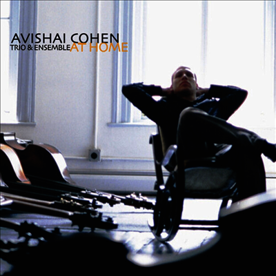 Avishai Cohen — At Home (20th Anniversary) 앨범 커버