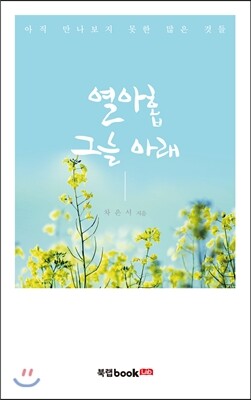 북랩(bookLab)  열아홉 그늘 아래