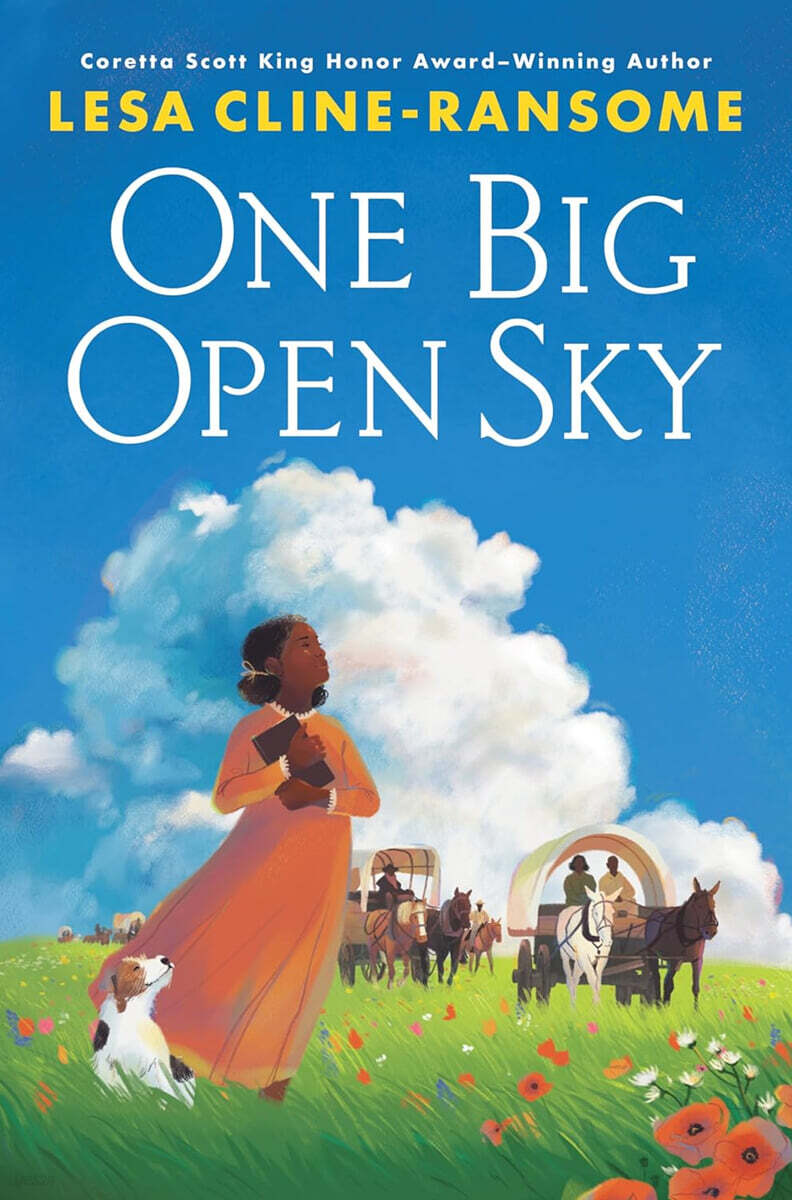 One Big Open Sky : 2025 뉴베리 아너