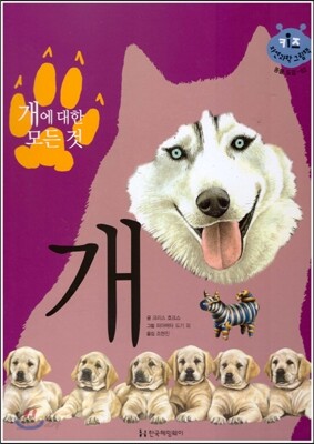 키즈 자연과학 그림책 62 개에 대한 모든 것