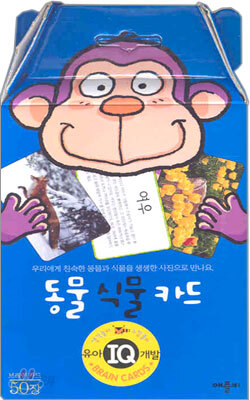 동물 식물 카드