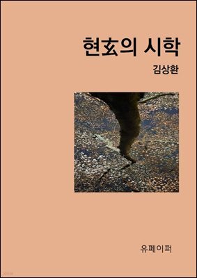 현玄의 시학