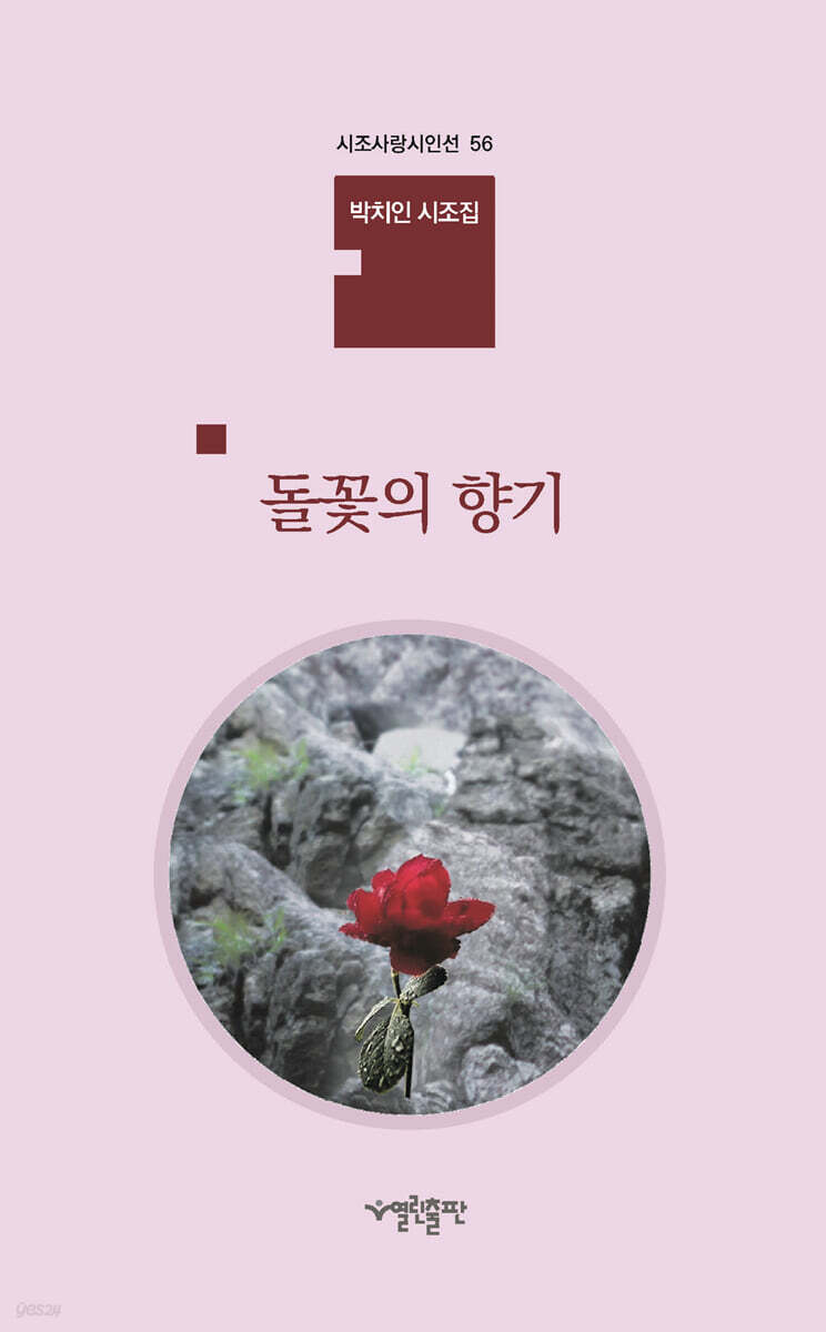 돌꽃의 향기