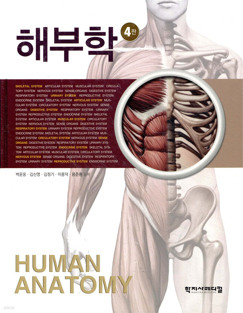 해부학