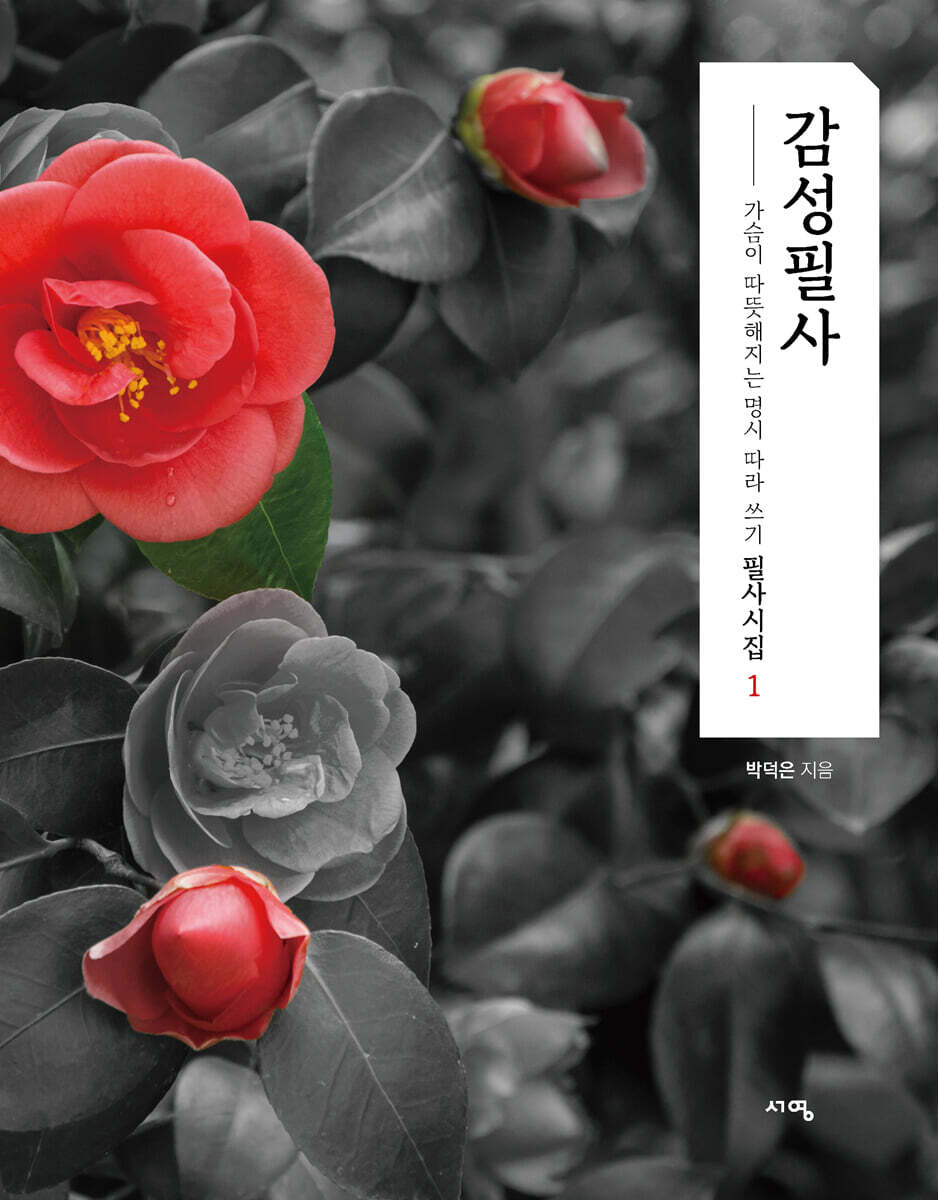 감성 필사