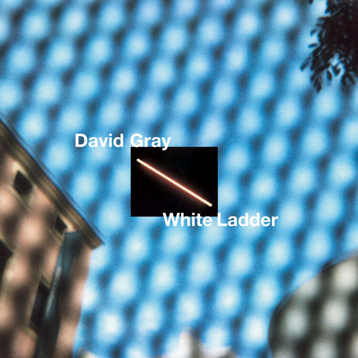 David Gray (데이비드 그레이) - White Ladder [2LP]