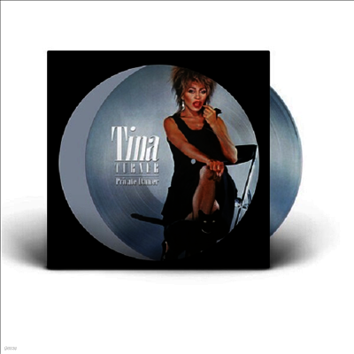 Tina Turner — Private Dancer (40th Anniversary Edition)(Art Card) 앨범 커버