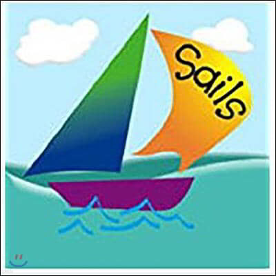 Rigby Sails Sailing Solo: Complete Package Green
