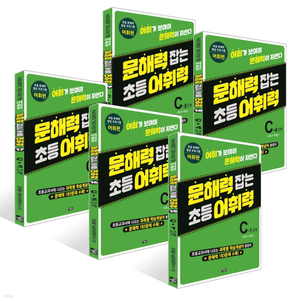 문해력 잡는 초등 어휘력 15~19권 : C단계 세트