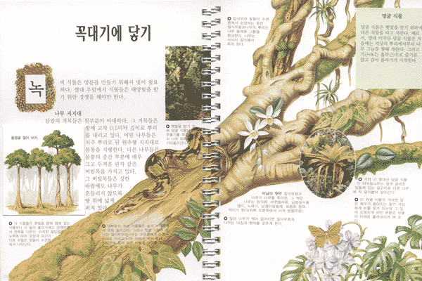 도서명 표기