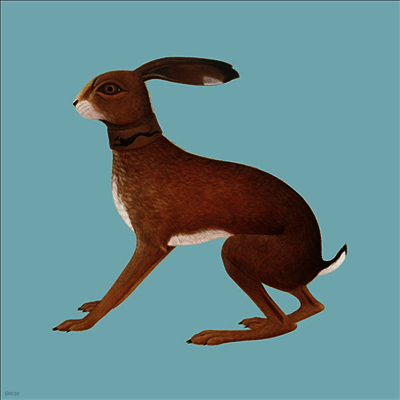 Vashti Bunyan — Lookaftering (20th Anniversary) 앨범 커버