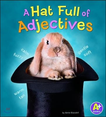 A Hat Full of Adjectives